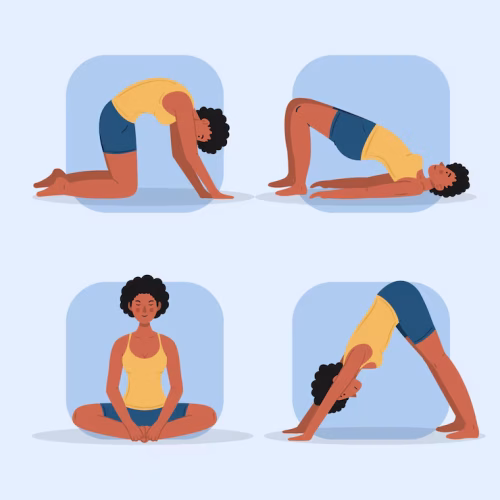 Gentle Stretching